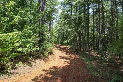Tract 3 County Road 4102, Jacksonville, TX 75766 - Photo 3