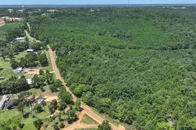 Tract 3 County Road 4102, Jacksonville, TX 75766 - Photo 9