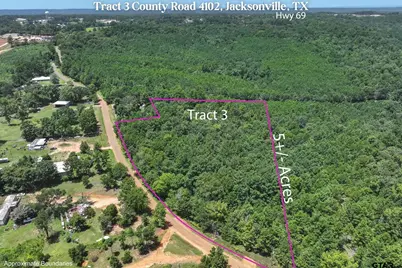 Tract 3 County Road 4102, Jacksonville, TX 75766 - Photo 1