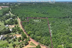 Tract 3 County Road 4102, Jacksonville, TX 75766 - Photo 1