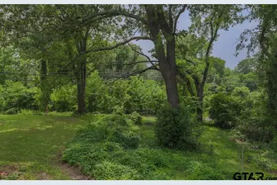 501 N Spring, Grand Saline, TX 75140 - Photo 21