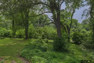 501 N Spring, Grand Saline, TX 75140 - Photo 21