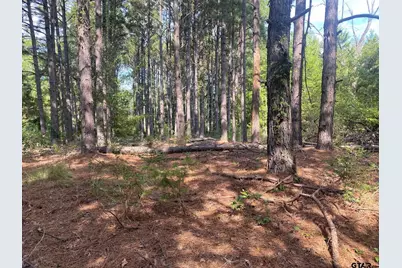 14466 County Road 393, Tyler, TX 75708 - Photo 3