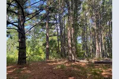 14466 County Road 393, Tyler, TX 75708 - Photo 1