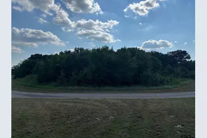 Rs Pr 6372, Alba, TX 75410 - Photo 5