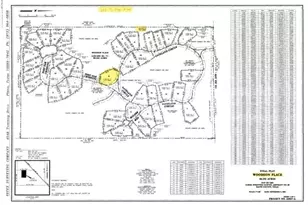 Rs Pr 6372, Alba, TX 75410 - Photo 1