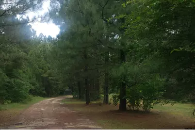 12149 County Road 224, Arp, TX 75750 - Photo 15