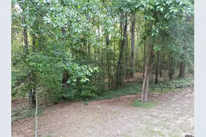 12149 County Road 224, Arp, TX 75750 - Photo 13