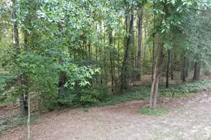 12149 County Rd 224, Arp, TX 75750 - Photo 13