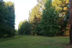 12149 County Rd 224, Arp, TX 75750 - Photo 19