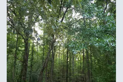 12149 County Road 224, Arp, TX 75750 - Photo 17