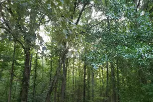 12149 County Rd 224, Arp, TX 75750 - Photo 17