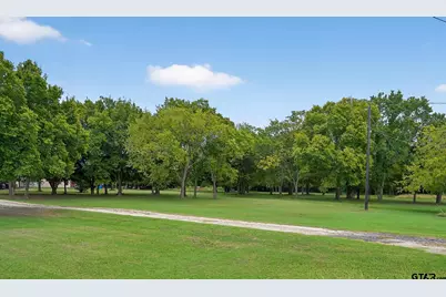 2457 Farm To Market 1653, Ben Wheeler, TX 75754 - Photo 3