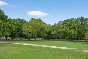 2457 Farm To Market 1653, Ben Wheeler, TX 75754 - Photo 3