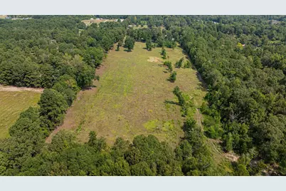 10660 State Highway 154 E, Diana, TX 75640 - Photo 47