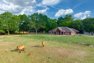 16455 FM 850, Arp, TX 75750 - Photo 9