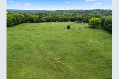 125 Private Road 3180, Big Sandy, TX 75755 - Photo 45