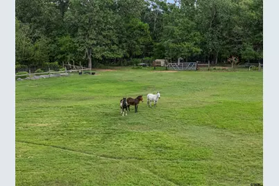 125 Private Road 3180, Big Sandy, TX 75755 - Photo 47