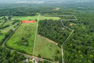 125 Private Rd 3180, Big Sandy, TX 75755 - Photo 43