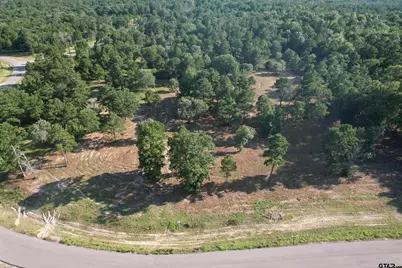 3145 Shadow Pine Dr, LaRue, TX 75770 - Photo 3