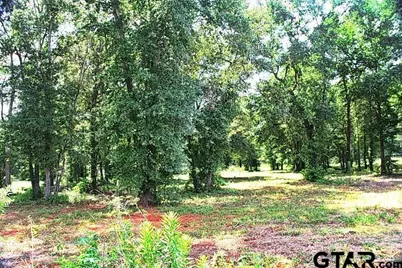 815 Stone Chimney Rd. (Lot 5 Cr 3608), Bullard, TX 75757 - Photo 1