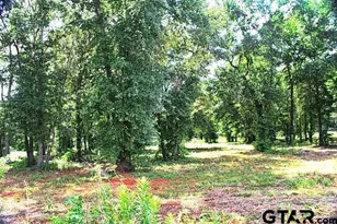 815 Stone Chimney Rd (Lot 5 Cr 3608), Bullard, TX 75757 - Photo 1