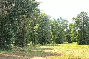 835 Stone Chimney Rd (Lot 6 Cr 3608), Bullard, TX 75757 - Photo 1