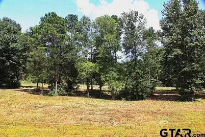 965 Stone Chimney Rd. (Lot 11 Cr 3608), Bullard, TX 75757 - Photo 1