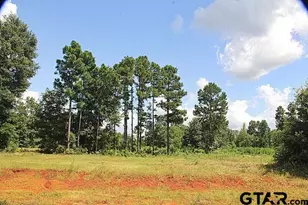 950 Stone Chimney Rd (Lot 17 Cr 3608), Bullard, TX 75757 - Photo 1