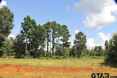 930 Stone Chimney Rd. (Lot 18 Cr 3608), Bullard, TX 75757 - Photo 1