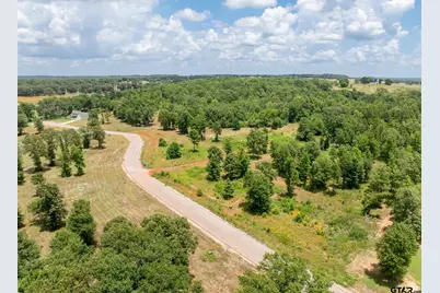 930 Stone Chimney Rd. (Lot 18 Cr 3608), Bullard, TX 75757 - Photo 3