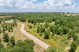 930 Stone Chimney Rd (Lot 18 Cr 3608), Bullard, TX 75757 - Photo 3