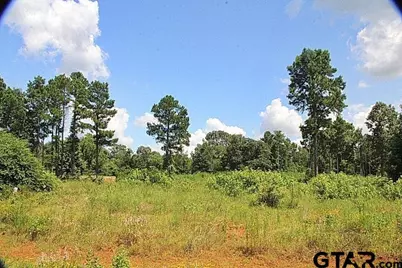 920 Stone Chimney Rd. (Lot 19 Cr 3608), Bullard, TX 75757 - Photo 1