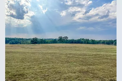 Lot 80 White Oak Creek Ranch, Big Sandy, TX 75755 - Photo 3