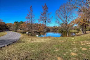 543 Private Rd 6305, Mineola, TX 75773 - Photo 39