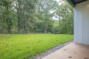 11336 County Rd 4102, Lindale, TX 75771 - Photo 47