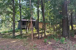 3110 Co Rd 1403, Jacksonville, TX 75766 - Photo 39