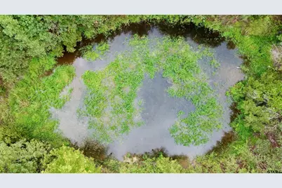 Tbd Fm 250 N, Naples, TX 75568 - Photo 5