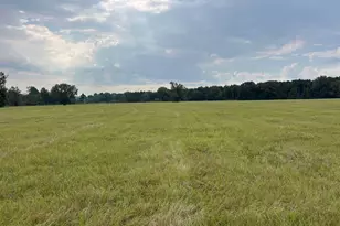 Tbd Fm 250 N, Naples, TX 75568 - Photo 13