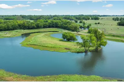 733 Rs County Road 1430, Point, TX 75472 - Photo 47