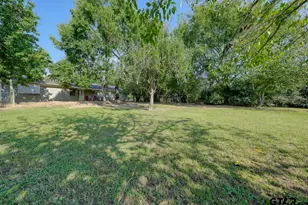 203 Green Lane Trail, Whitehouse, TX 75791 - Photo 41