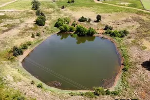 1045 Fm 2137, Bullard, TX 75757 - Photo 7