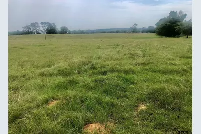 Tbd Fm 16 W, Lindale, TX 75771 - Photo 5