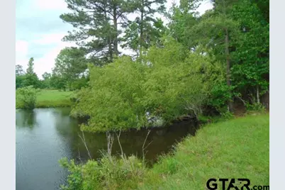 2585 C.R. 3212, Jacksonville, TX 75766 - Photo 9