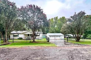 17027 Ravenwood, Flint, TX 75762 - Photo 3