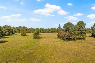 816 Co Rd 2590, Marietta, TX 75566 - Photo 9