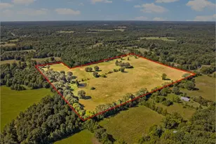 816 Co Rd 2590, Marietta, TX 75566 - Photo 3