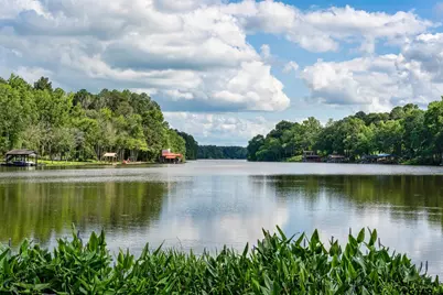 272 Branding Iron Lane, Holly Lake Ranch, TX 75765 - Photo 3