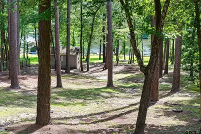 272 Branding Iron Lane, Holly Lake Ranch, TX 75765 - Photo 23