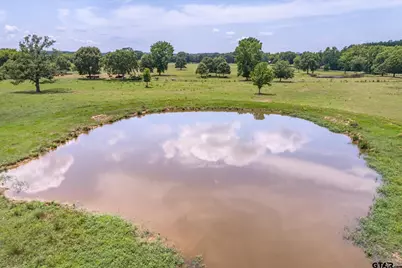 17104 County Road 1100, Flint, TX 75762 - Photo 15